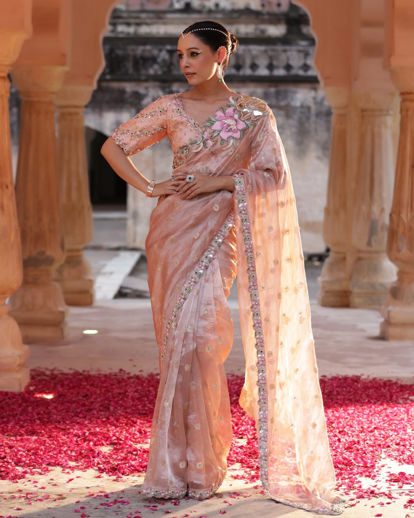 Zari Tissue Saree With Cutdana Work