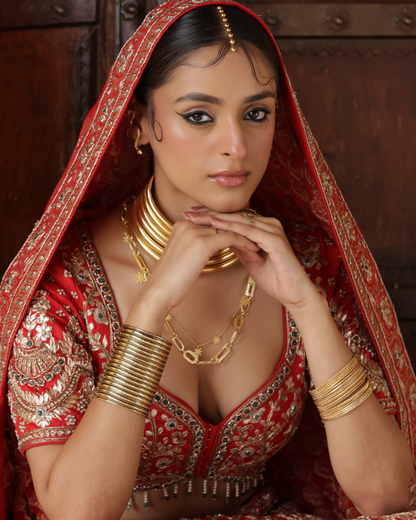Mirror Embellished Banarasi Lehenga Set
