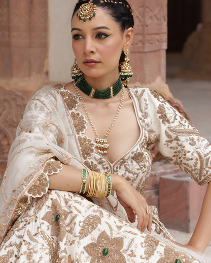 Royal Opulence Silk Lehenga Set